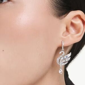Swan earringsSwan, White, Rhodium plated